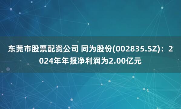 东莞市股票配资公司 同为股份(002835.SZ)：2024年年报净利润为2.00亿元
