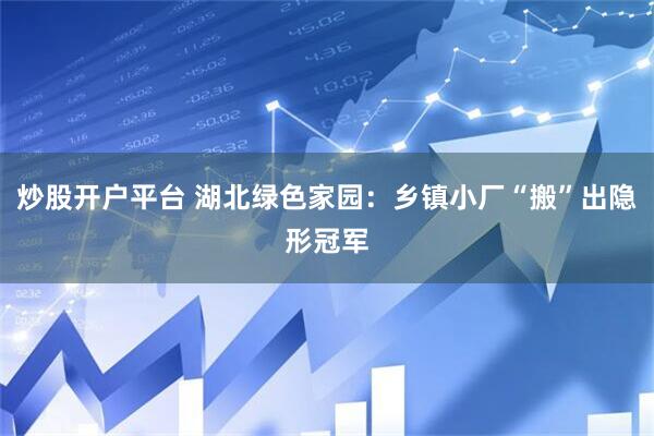 炒股开户平台 湖北绿色家园：乡镇小厂“搬”出隐形冠军