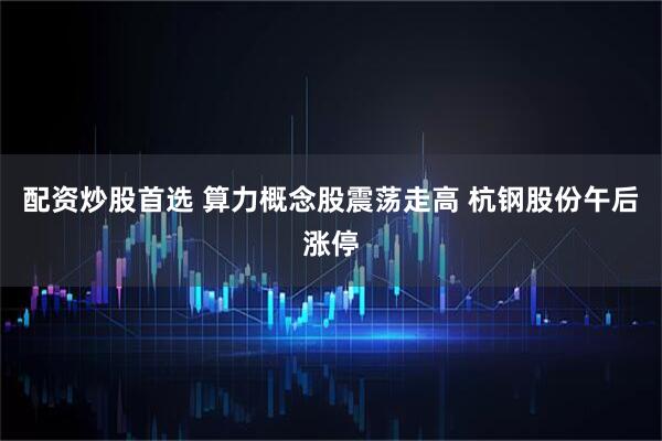 配资炒股首选 算力概念股震荡走高 杭钢股份午后涨停