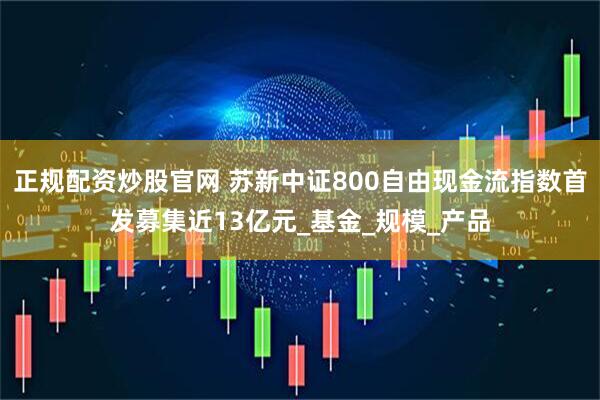 正规配资炒股官网 苏新中证800自由现金流指数首发募集近13亿元_基金_规模_产品