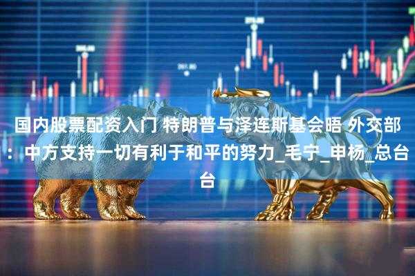国内股票配资入门 特朗普与泽连斯基会晤 外交部：中方支持一切有利于和平的努力_毛宁_申杨_总台