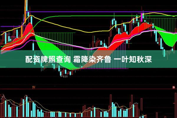 配资牌照查询 霜降染齐鲁 一叶知秋深